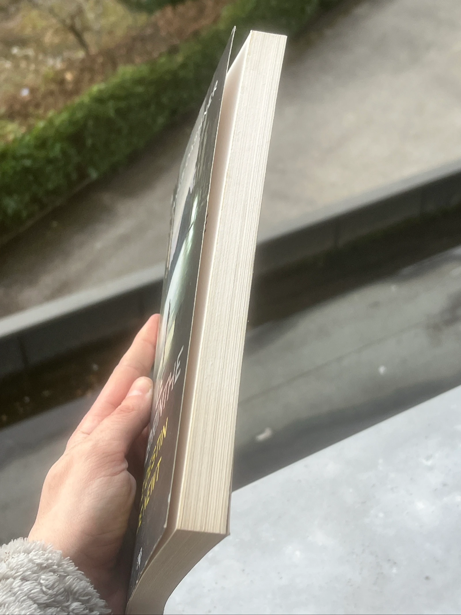 libro El Laberinto – El Destino de Newt | James Dashner – photo 2